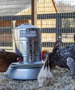 Manna Pro Chicken Supplies | Chicken Waterer Heated Base | Harris Farms Poultry Drinker | Chicken Coop Accessories Drinker Base 16 A18fYWLPxiL