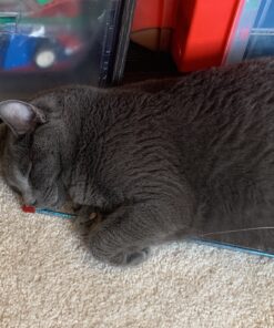 Go Cat Cat Catcher Teaser Wand with Mouse Cat Toy 33 A18swpi G3L