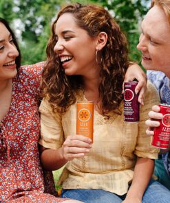 IZZE Sparkling Juice, Pomegranate, No Added Sugars, No Preservatives, Non-GMO, 8.4 Fl Oz Can (Pack of 24) 8.4 Fl Oz (Pack of 24) 20 A19YRVt2OYL