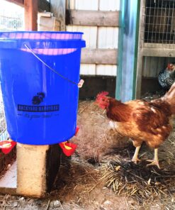 Backyard Barnyard Vertical 4 Pack NO PECK Poultry Waterer Drinking Cup for Chicken Ducks Quail 14 A19hvlUgTiL