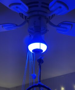 Texsens LED Light Bulb Bluetooth Speaker, 6W E26 RGB Changing Lamp Wireless Stereo Audio with 24 Keys Remote Control 32 A1AGJn2Yz6L