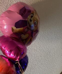 Paw Patrol Girls Pup Skye and Everest Foil Balloons Birthday Party Supplies (5 Piece Bouquet) 14 A1AHBEROFBL