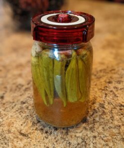 Fermenting Lids for wide mouth mason jars. 4 waterless airlock fermentation lids kit. Easy Grip fermenter lid with Oxygen Pump automatically Vents air. Tracks ferment date. (4 Lids + Pump) 39 A1C3J19tkL