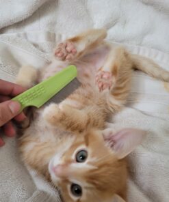 Coastal Pet - Safari - Cat Flea Combs - Grooming Supplies 21 A1DDQvIZDPL