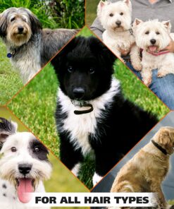 Wahl USA Deodorizing & Refreshing Pet Deodorant for Dogs - Eucalyptus & Spearmint Scent to Refresh the Skin and Coat - Model 820011A 27 A1DQiUG u6L