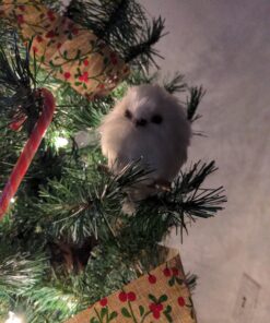 4" Tell a Story White Snowy Owl Perched on Branch Christmas Ornament 9 A1EEih5HNZL