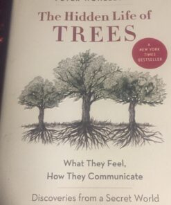 The Hidden Life of Trees: What They Feel, How They Communicate―Discoveries from A Secret World (The Mysteries of Nature, 1) 12 A1EMAAUgvnL