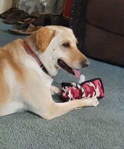 Advantus (Imidacloprid) Chewable Flea Treatment for Large Dogs, 7 Count, 23-110 Pound 32 A1ErjNVpZeL