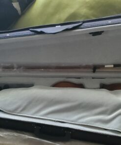 SKY 4/4 Full Size SKYVN201 Solid Maple Wood Violin with High Quality Lightweight Case, Brazilwood Bow, String, Rosin and Mute 39 A1FyZLSuIuL