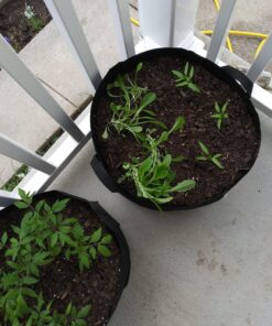 VIVOSUN 5-Pack 10 Gallon Plant Grow Bags, Heavy Duty Thickened Nonwoven Fabric Pots with Handles Black 10 Gallons 50 A1GQvDzIxwL