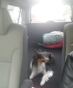 Vastar Double Dog Walker, Adjustable Heavy Duty Double Dog Leash for Pets, No Tangle Two Dogs Training Leash for Dogs up to 110 Pounds, Premium Quality Dog Leash Coupler for 2 Dogs Black 19 A1H7ImheZLL