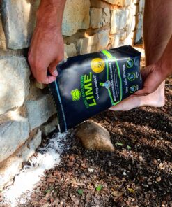 First Saturday Lime for Insects 20lb 26 A1IebP9H4gL