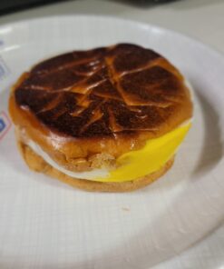 Hamilton Beach Breakfast Sandwich Maker with Egg Cooker Ring, Customize Ingredients, Perfect for English Muffins, Croissants, Mini Waffles, Perfect White Elephant Gifts, Mint (25482) Single 40 A1JvjjZ9PXL