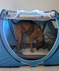 Abco Small Pop Up Tent and Automatic Instant Portable Cabana Beach Small Tent - 2 Person Pop Up Tent - 2 Doors Emergency Tent - Water-Resistant, UV Protection Sun Shelter with Carrying Bag (Sky Blue) 46 A1L5UxKgDNL