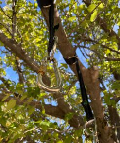 DCAL Gear Tree Swing Hanging Straps Kit - Easy & Fast Installation - 5ft Extra Long Straps Hold 2000 lb - Safer Lock Snap Carabiner Hooks Perfect to Tree Swing, Swing Sets, Tire Swing & Hammock 39 A1M64wyiaNL