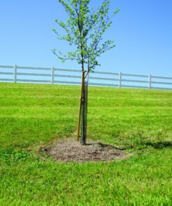 A.M. Leonard Rigid Plastic Mesh Tree Bark Protector, 36 Inches Tall (Pack of 5) 13 A1MctMgAyfL