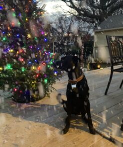 1byone 650W Snow Machine Wired Remote Control Great Machine for Kids, Parties, Parades 47 A1MlVjFtvUL