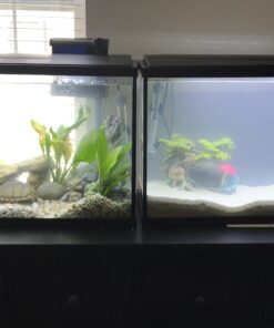 Laifoo 5ft Aquarium Siphon Vacuum Cleaner for Fish Tank Cleaning Gravel & Sand 33 A1NKOnMXQUL