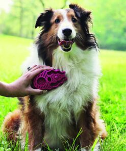 KONG - ZoomGroom - Dog Brush for Grooming and Shampooing - Blue Brush for Large Dogs Standard Packaging 23 A1NfcKwi00L