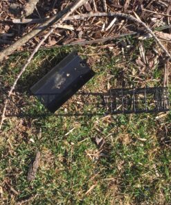 FORUP Suet Bird Feeder, Hanging Suet Feeder, Single Suet Cake Bird Feeder, One Suet Capacity 1 23 A1NqXUhv8zL