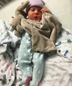 Jellycat Bashful Beige Bunny Baby Stuffed Animal Security Blanket 27 A1OIn5u631L