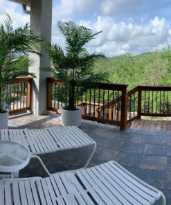 Nearly Natural 5390 Areca Palm UV Resistant Tree, 6.5-Feet, Green,85" x 9" x 9" 85" x 9" x 9" 23 A1P52UTKDzL