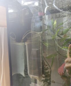 SunSun JUP-01 9W UV Sterilizer Submersible Filter Pump 56 A1PZgjYqMAL