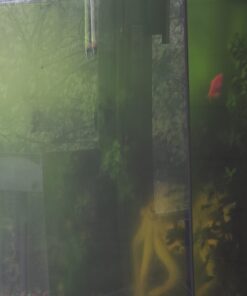 SunSun JUP-01 9W UV Sterilizer Submersible Filter Pump 57 A1QYnnjIdpL