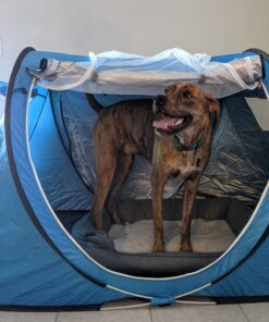 Abco Small Pop Up Tent and Automatic Instant Portable Cabana Beach Small Tent - 2 Person Pop Up Tent - 2 Doors Emergency Tent - Water-Resistant, UV Protection Sun Shelter with Carrying Bag (Sky Blue) 47 A1RGGsv4ML