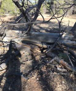 Silky KATANABOY Professional 500mm Folding Saw XL Teeth (403-50) 31 A1S7G je91L