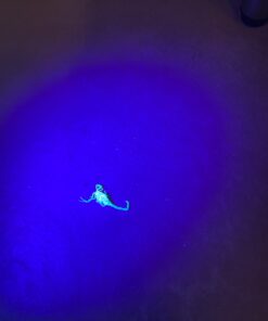 Diatomaceous Earth 2 Lbs Food Grade DE - Includes Free Scoop 30 A1SRFebbqdL