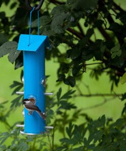Perky-Pet 391 Metal Tube Wild Bird Feeder, Blue Sturdy 24 A1SqrMHCCvL