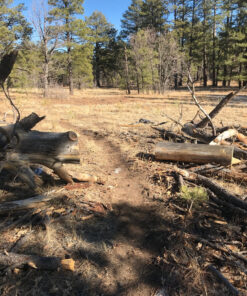 Silky KATANABOY Professional 500mm Folding Saw XL Teeth (403-50) 32 A1TcU7bCiDL