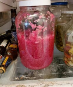 Cutting Edge Cultures Vegetable Starter Culture, 6 Pouches, 12g 0.42 Ounce 19 A1TtgafgI9L