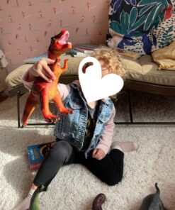 Boley 5 Piece Jumbo Dinosaur Set - Kids, Children, Toddlers Highly Detailed, Realistic Toy Set for Dinosaur Lovers - Perfect for Party Favors, Birthday Gifts, and More 5 Dino Set 57 A1Uqr2jbSAL