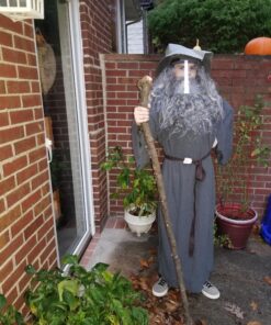 Rubies The Hobbit Gandalf Beard Costume Wig Kit- One Size 39 A1V1BaWzSFL