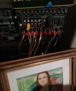 Amazon Basics 16-Gauge Speaker Wire Cable, 100 Feet, Bronze 1-Pack 31 A1V9BF5O2dL