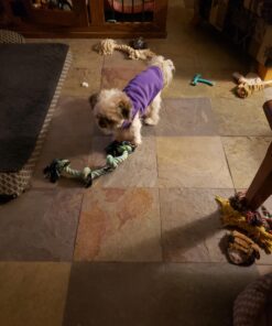 Gooby Fleece Vest Dog Sweater - Lavender, Medium - Warm Pullover Fleece Dog Jacket with O-Ring Leash - Winter Small Dog Sweater Coat - Cold Weather Dog Clothes for Small Dogs Boy or Girl Medium chest (~16") 42 A1VKOQ54zqL