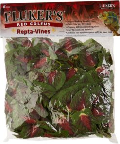 Fluker's Repta Vines for Reptiles and Amphibians Terrariums - Red Coleus 13 A1VPu7kR0L