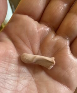 Mack's Ultra Soft Foam Earplugs, 50 Pair - 33dB Highest NRR, Comfortable Ear Plugs for Sleeping, Snoring, Travel, Concerts, Studying, Loud Noise, Work | Made in USA 38 A1WiQ33kHdL