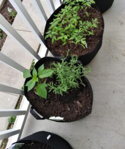 VIVOSUN 5-Pack 10 Gallon Plant Grow Bags, Heavy Duty Thickened Nonwoven Fabric Pots with Handles Black 10 Gallons 51 A1WuCaNlwVL