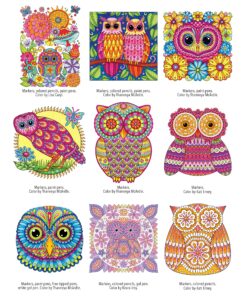 Groovy Owls Coloring Book (Coloring is Fun) (Design Originals) 32 Adorable Art Activities with Quiet, Stoic, Wise, and Happy Owls, plus Beginner-Friendly Advice, Techniques, Color Choices, & Examples Paperback, Coloring Book 37 A1X5AUNWOSL