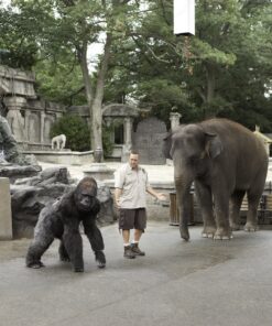 Zookeeper DVD October 11, 2011 8 A1X9BDBFs8L