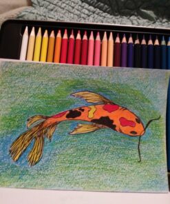 Amazon Basics Premium Colored Pencils, Soft Core, 48 Count Set 48 Count (Pack of 1) 39 A1YEXBprOML