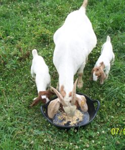 Alternative view of Little Giant® Rubber Utility Pan | Durable & Versatile Rubber Pan | 3 Gallon