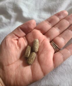 Garden of Life Mykind Organics Prenatal Vegan Whole Food Multivitamin Tablets, Folate not Folic Acid & Stomach Soothing Blend for Women, Peppermint, 180 Count 180 Count (Pack of 1) 45 A1Yd4Sev2nL