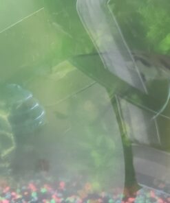 SunSun JUP-01 9W UV Sterilizer Submersible Filter Pump 60 A1Z1LS4iD7L 1