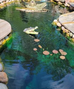 MICROBE-LIFT MLXSAG6 Sludge-Away Pond and Outdoor Water Garden Sludge and Muck Remover, Safe for Live Koi Fish, Plant Life, and Decor, 1 Gallon 28 A1ZjjyWVKSL