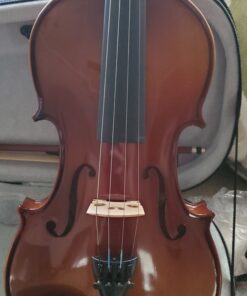 SKY 4/4 Full Size SKYVN201 Solid Maple Wood Violin with High Quality Lightweight Case, Brazilwood Bow, String, Rosin and Mute 40 A1aCKt3rRgL