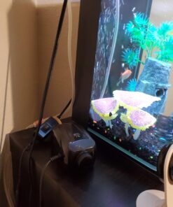 Uniclife Aquarium Air Pump Dual Outlet Fish Tank Aerator with Accessories for Up to 100 Gallon Tank 5 - 30 Gallons 37 A1bpXEmNoIL